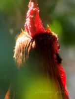/album/fotogaleria/ne-fenykepezz-jpg/